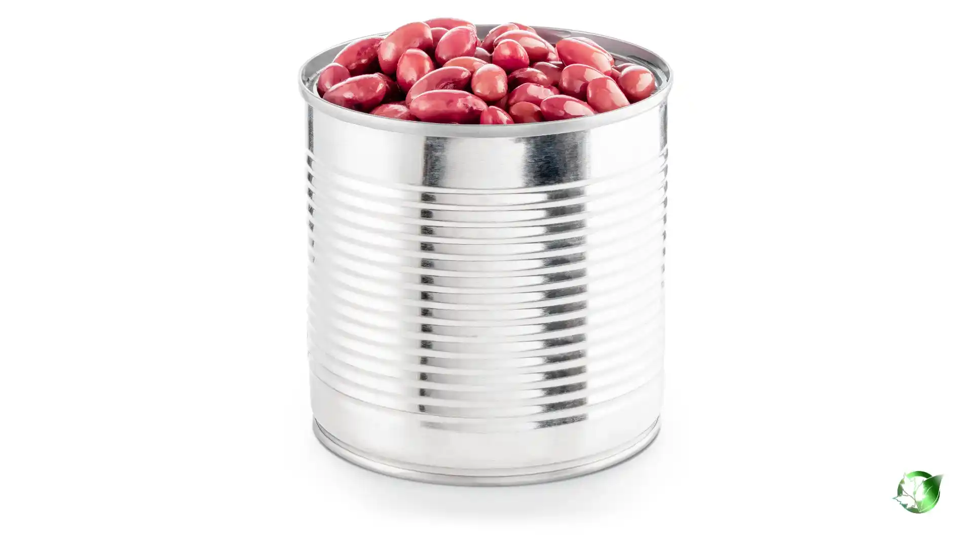 Bulk Canned Beans | Suppliers | Wholesale | ParsaFood Global